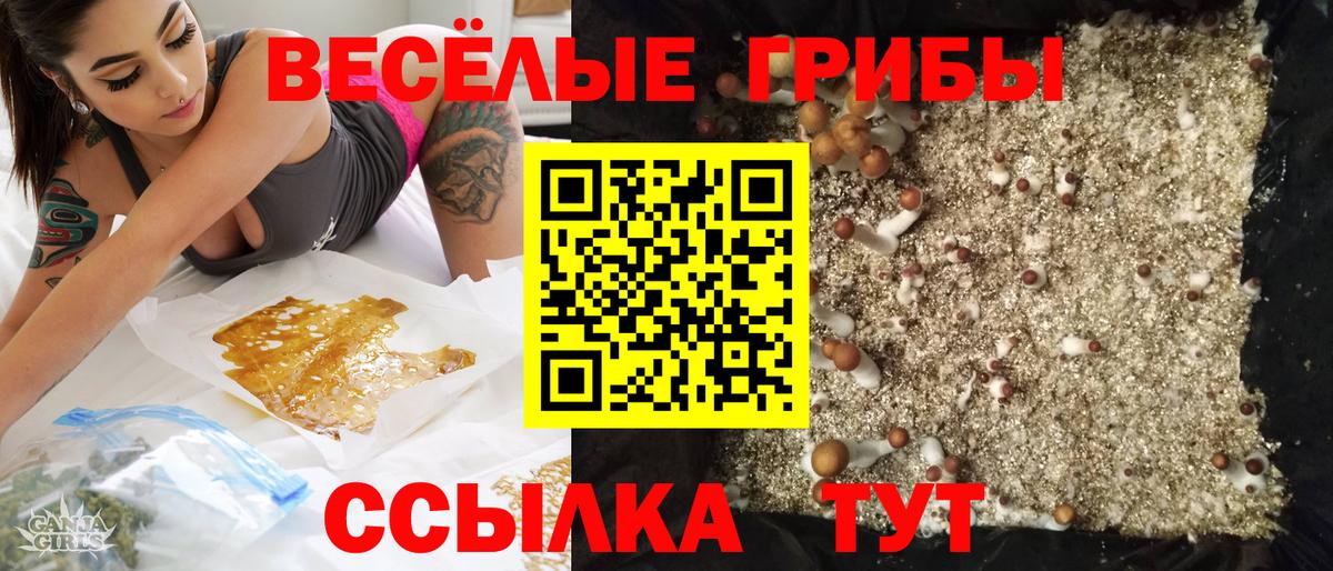 Галлюциногенные грибы ЛСД Клинцы