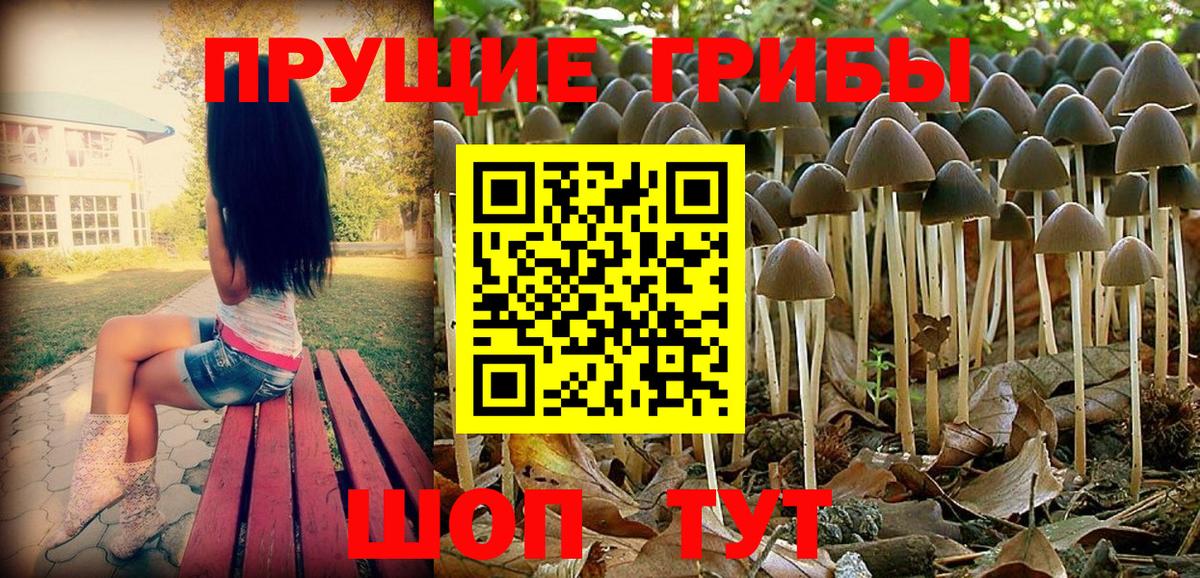 Клинцы  Галлюциногенные грибы мицелий  продажа наркотиков  Вход с VPN 